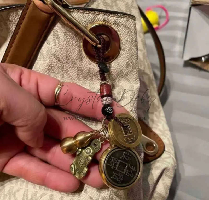 Lucky Spinning Coin Keyring- Tiger