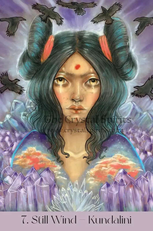 Maidens of the Wheel Oracle Cards: Inner Journeys through the Cycles of the Year by Tammy Wampler