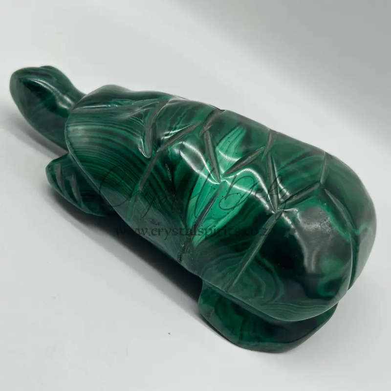 Malachite Crystal Tortoise