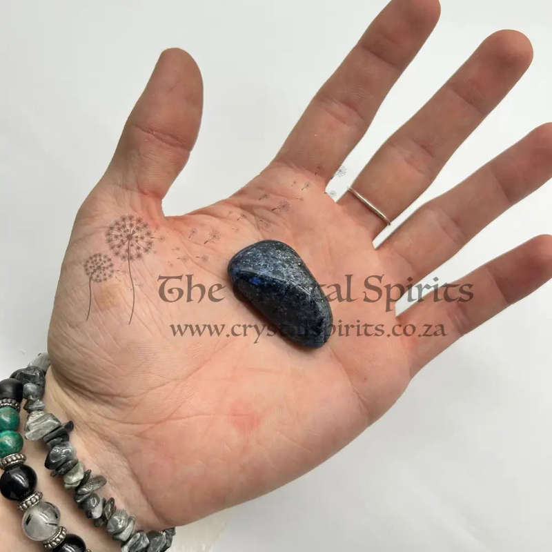 Medium Sized Tumbled Dumortierite