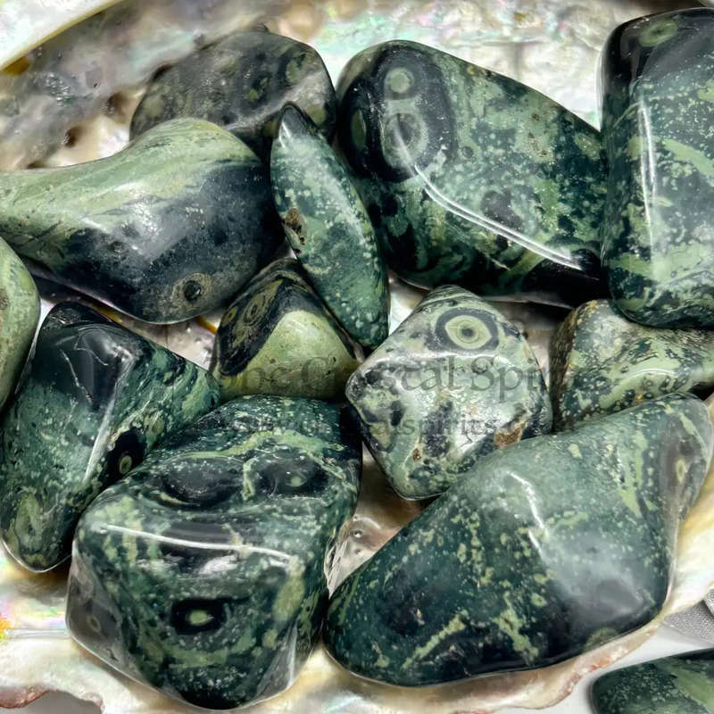 Medium Sized Tumbled Kambaba Jasper