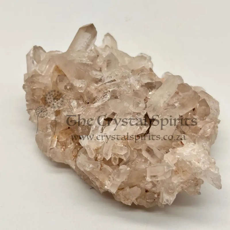 Natural Madagascan Clear Quartz Cluster