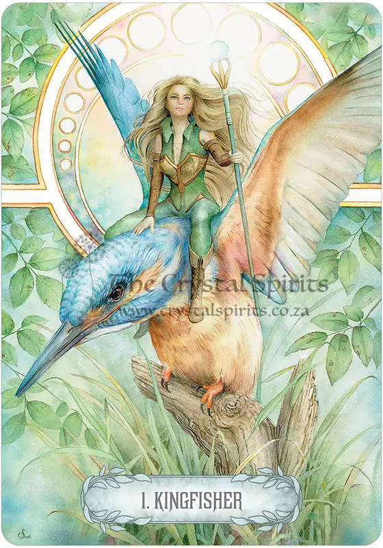 Oracle of Light & Dreams by Scot Howden