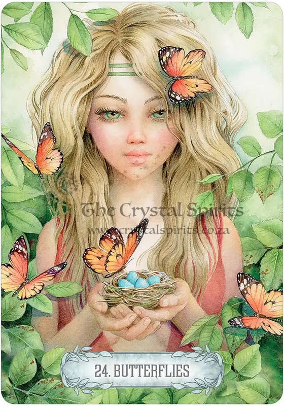 Oracle of Light & Dreams by Scot Howden