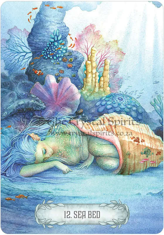 Oracle of Light & Dreams by Scot Howden