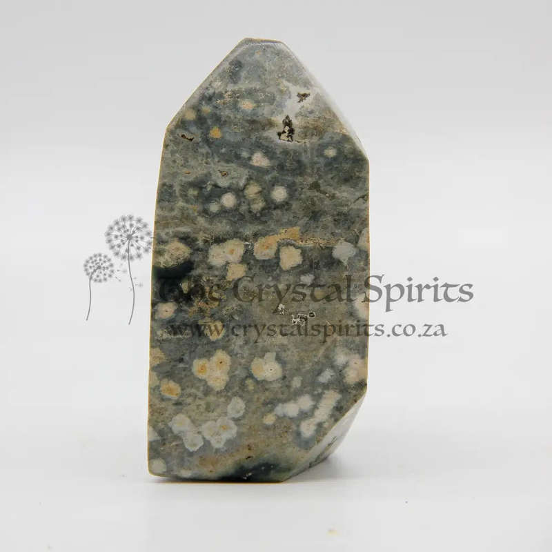 Orbicular Jasper Crystal