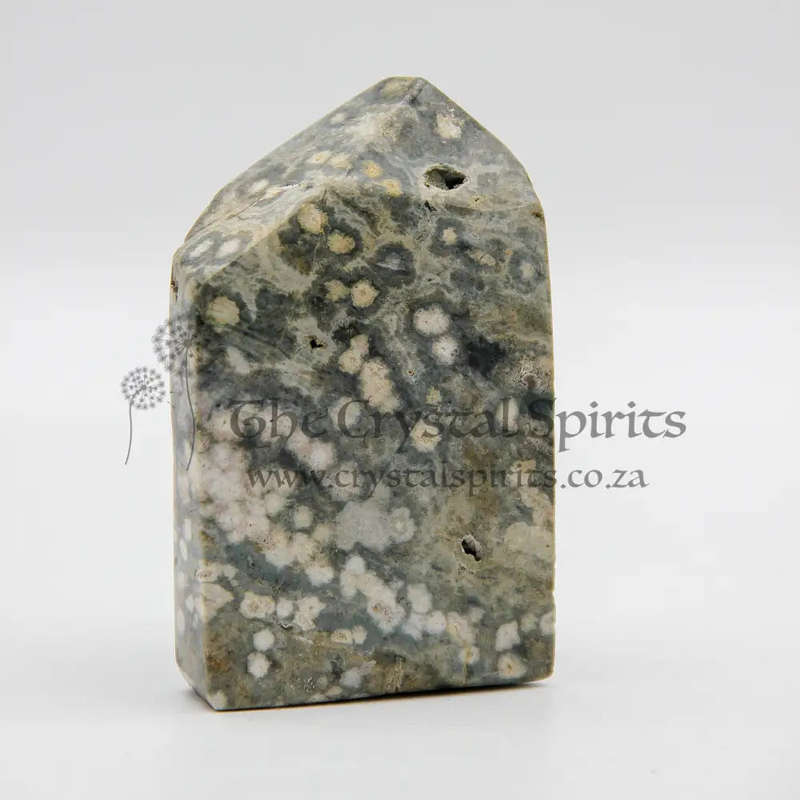 Orbicular Jasper Crystal