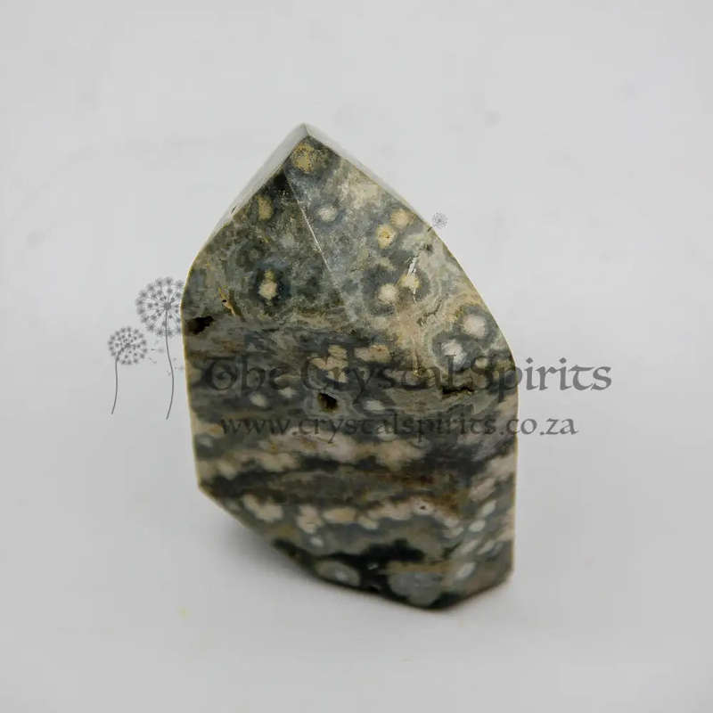 Orbicular Jasper Crystal