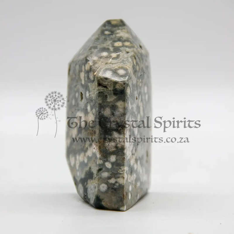 Orbicular Jasper Crystal