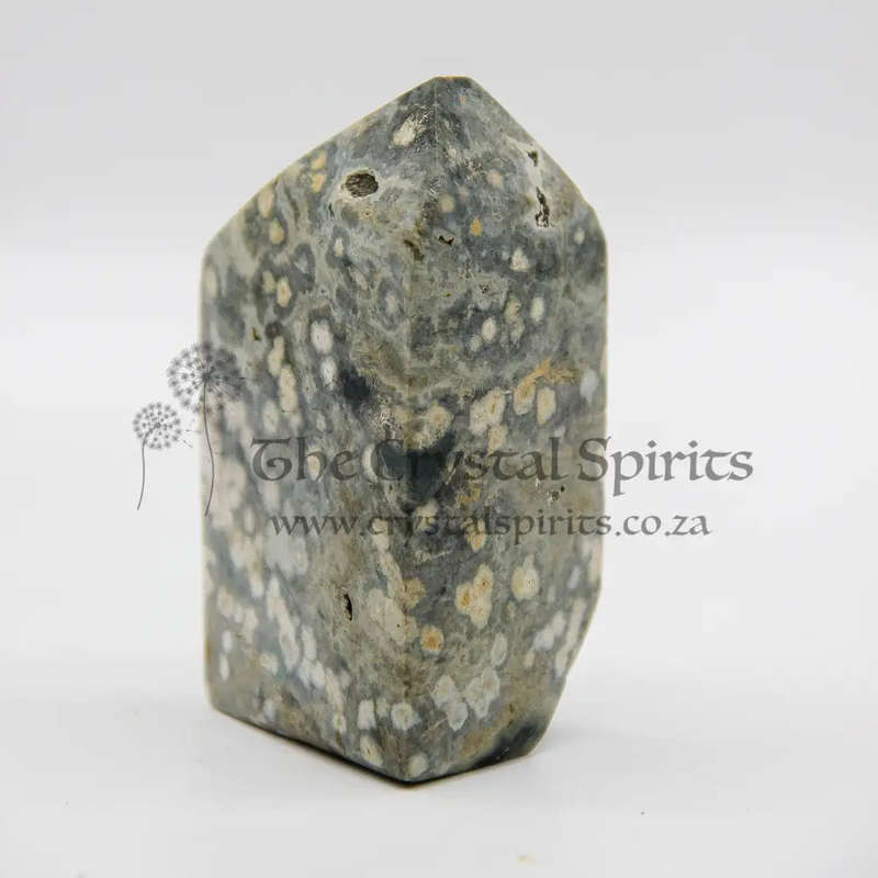Orbicular Jasper Crystal