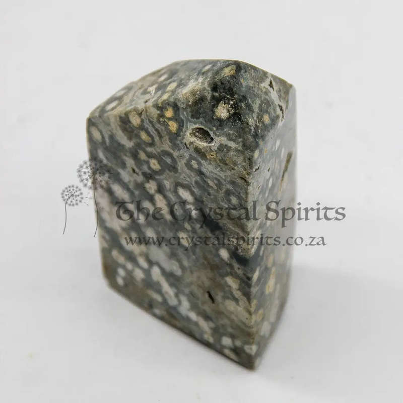 Orbicular Jasper Crystal