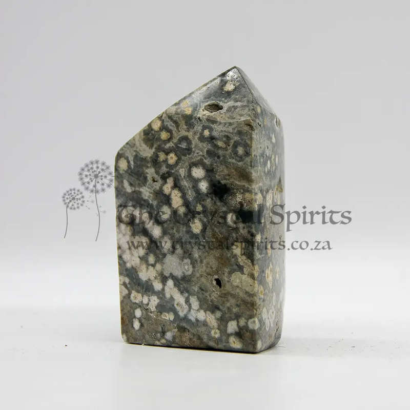 Orbicular Jasper Crystal