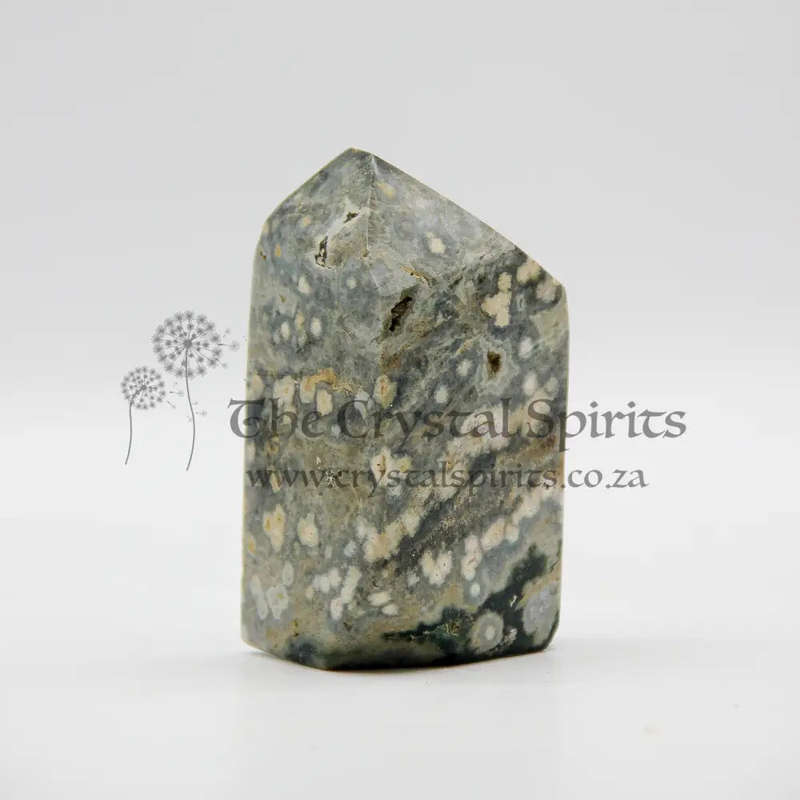 Orbicular Jasper Crystal