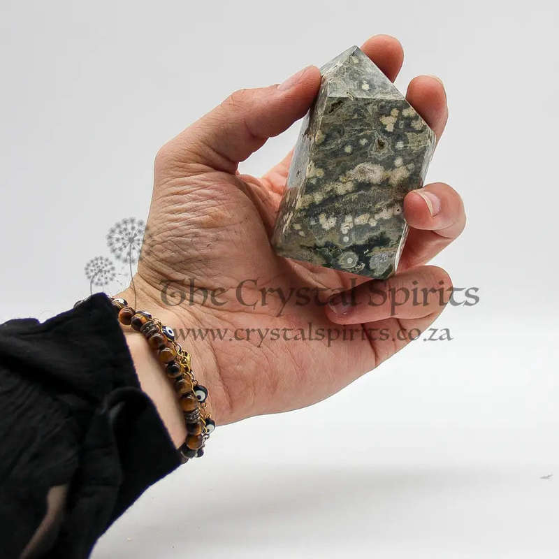 Orbicular Jasper Crystal