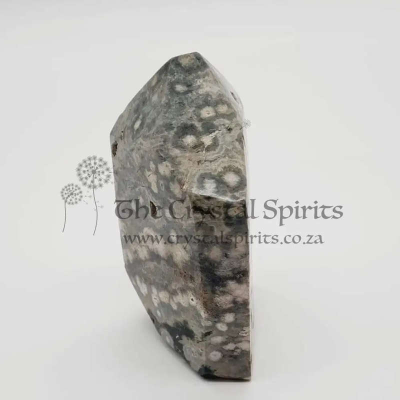 Orbicular Jasper for Joy