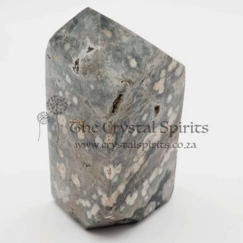 Orbicular Jasper for Joy