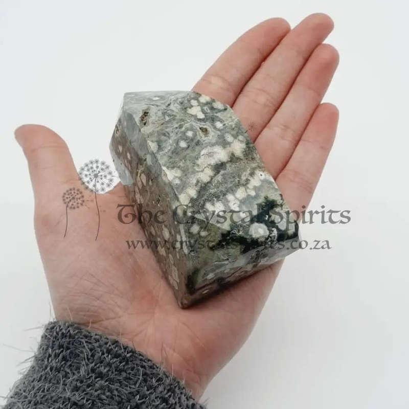 Orbicular Jasper for Joy
