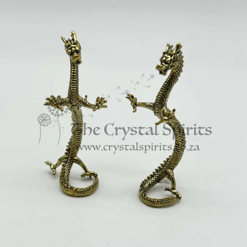 Pair of Brass Dragons For Future Prosperity And Health