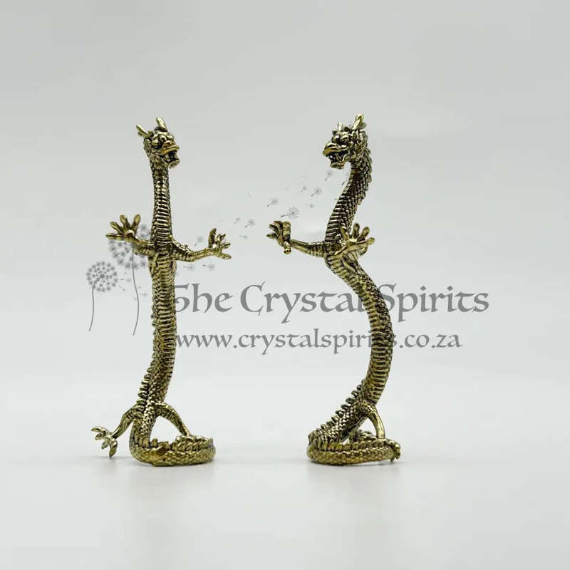 Pair of Brass Dragons For Future Prosperity And Health