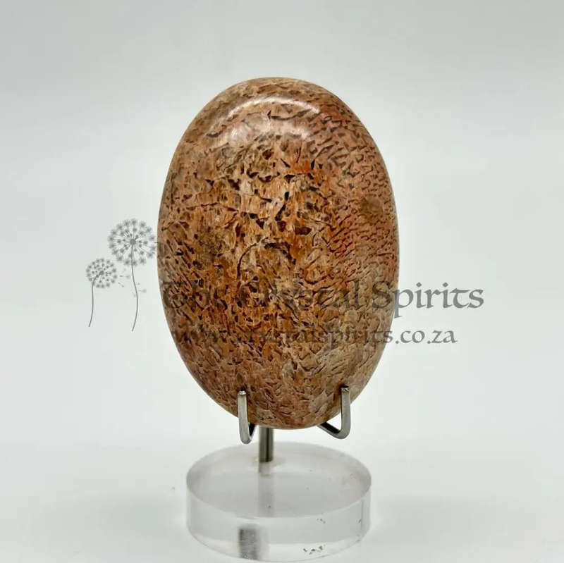 Peach Moonstone Palm Stone