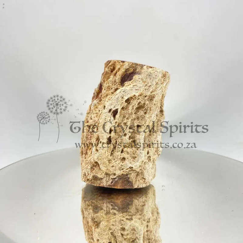 Petrified Wood