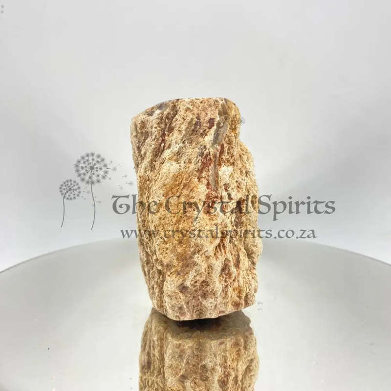 Petrified Wood