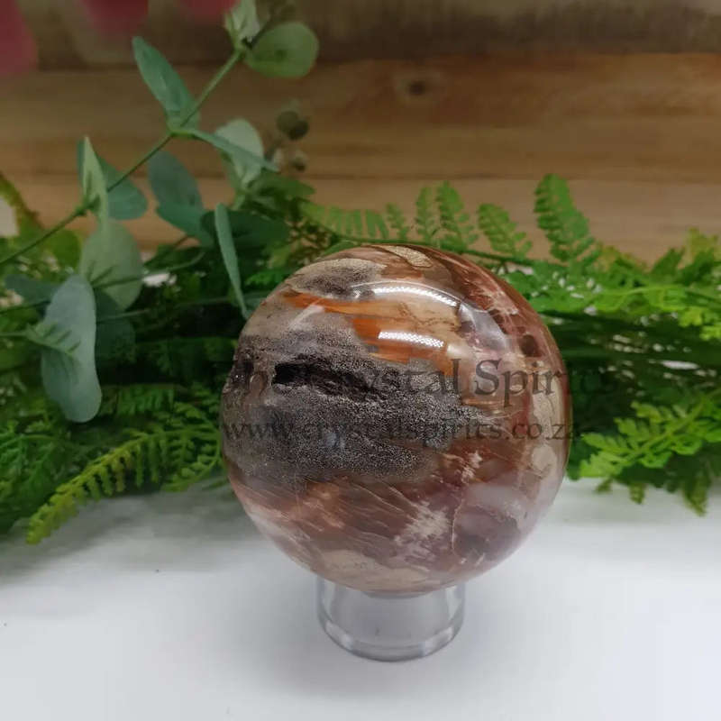 Petrified Wood Sphere
