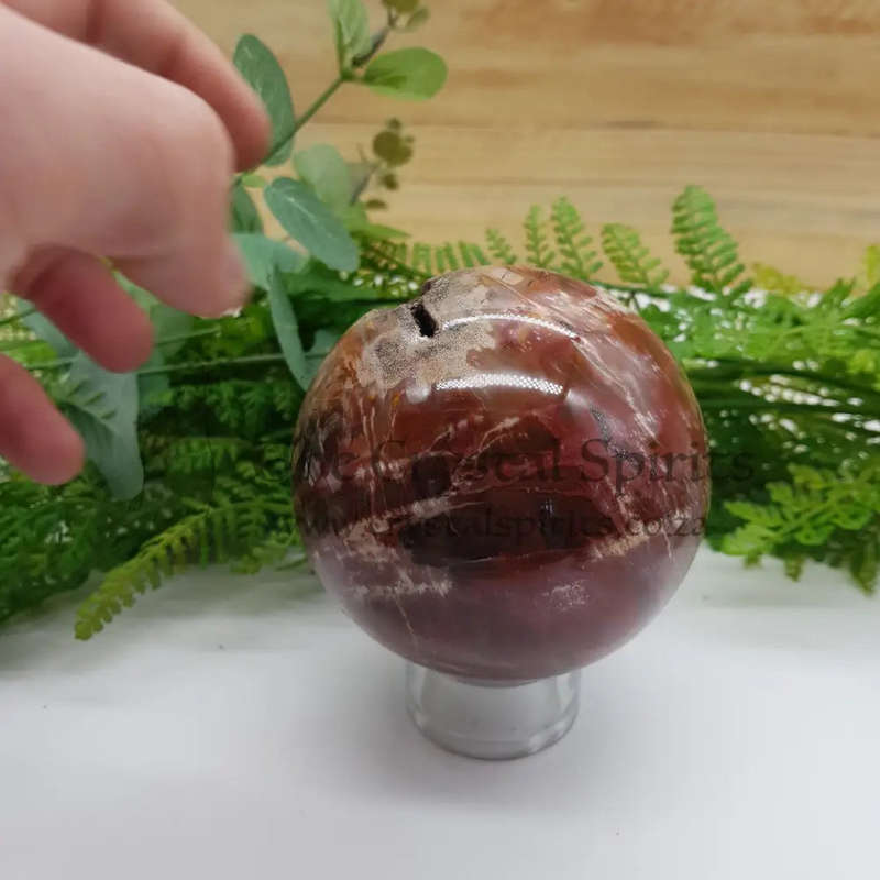 Petrified Wood Sphere