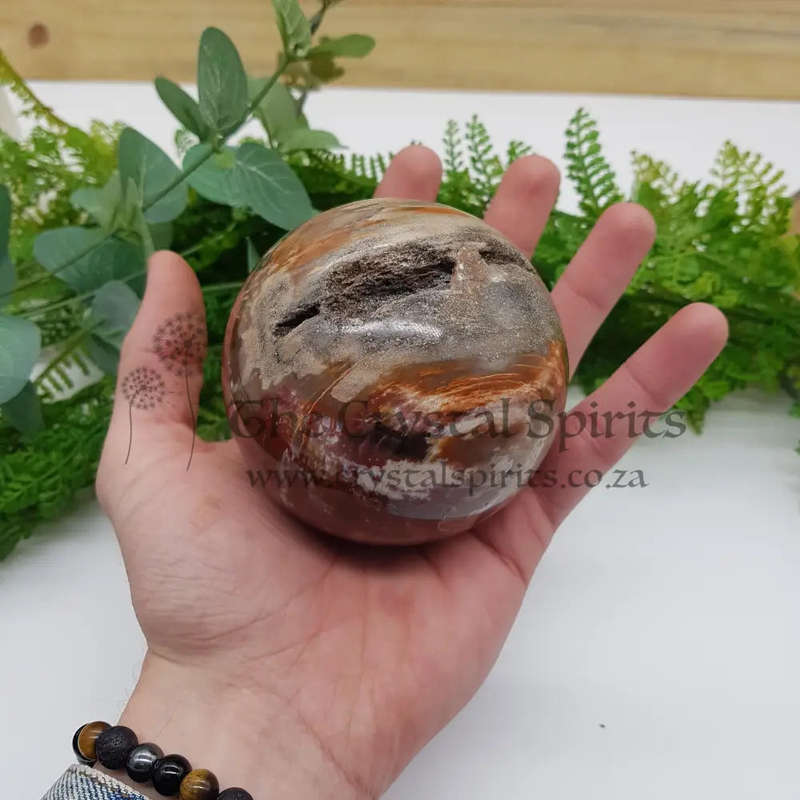 Petrified Wood Sphere