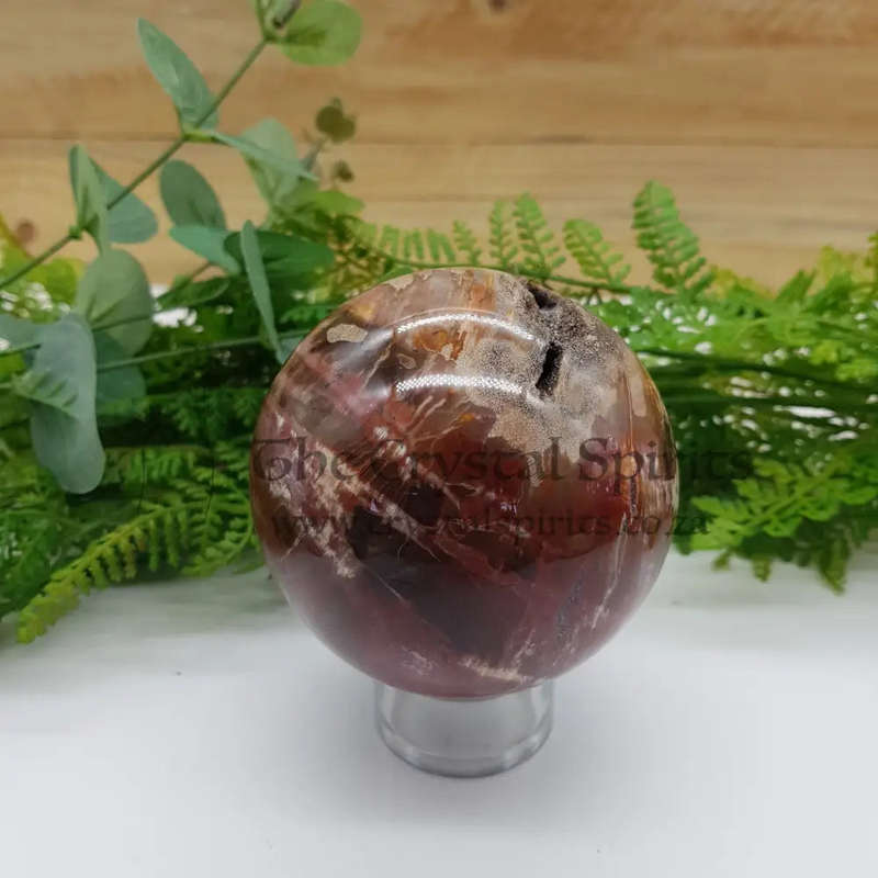 Petrified Wood Sphere
