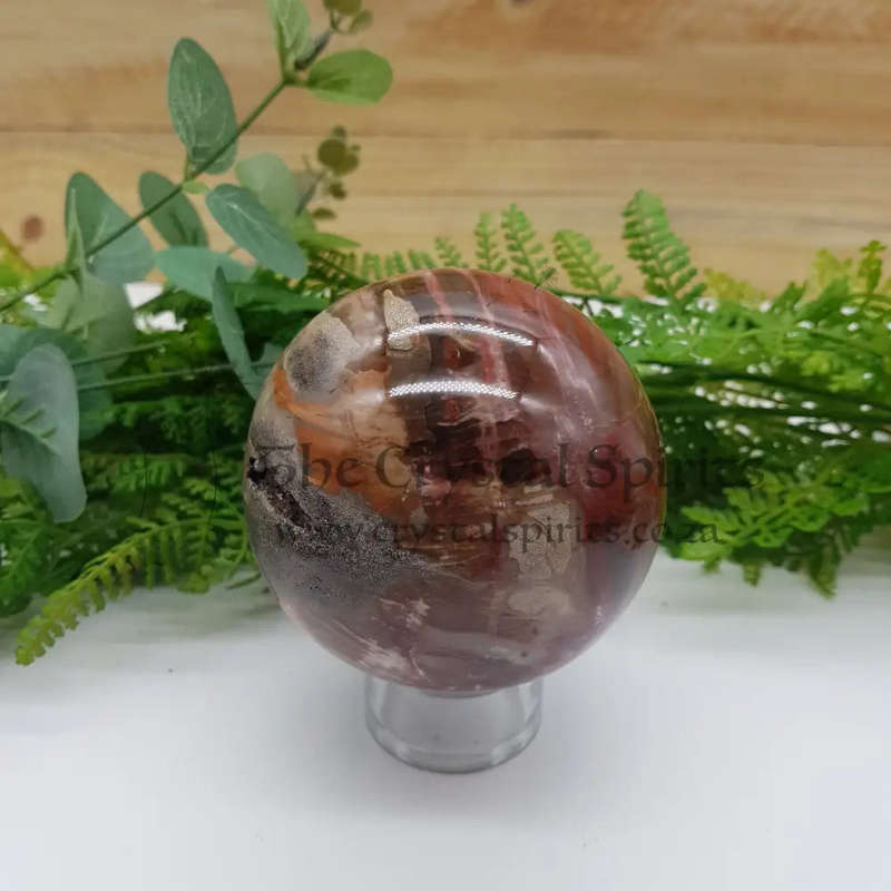 Petrified Wood Sphere