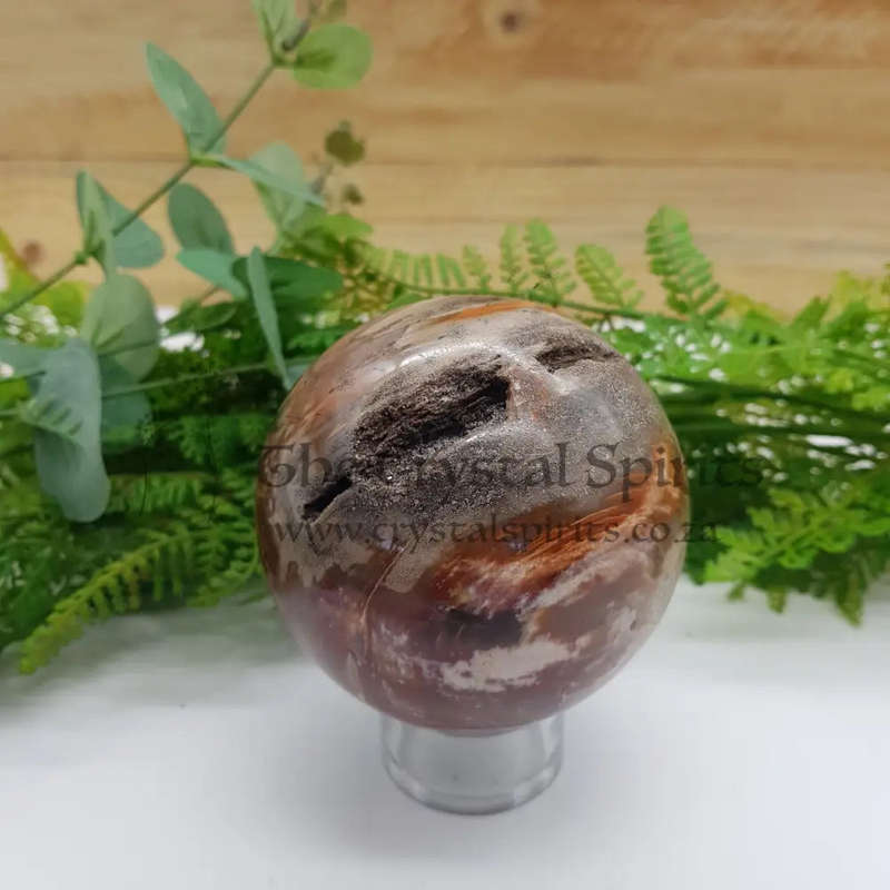 Petrified Wood Sphere