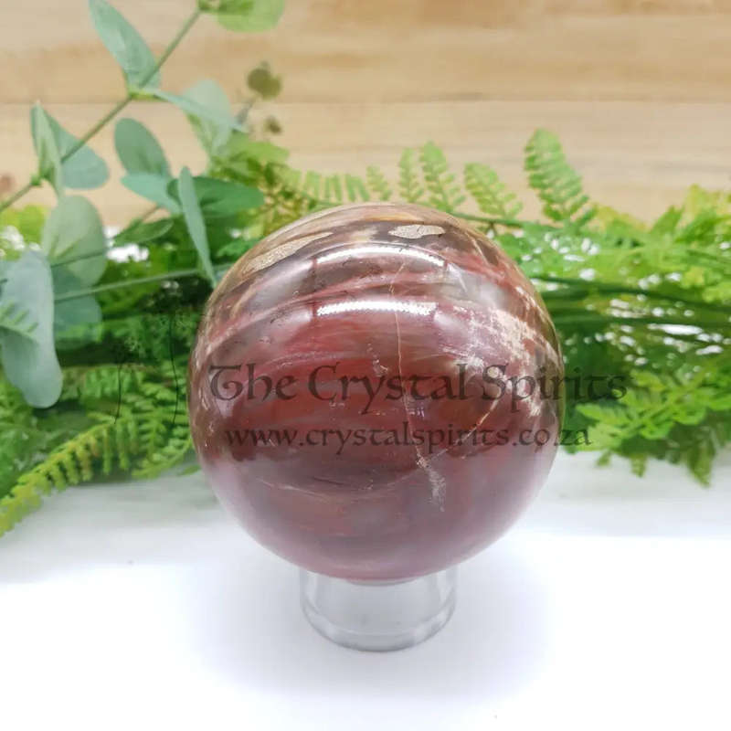 Petrified Wood Sphere