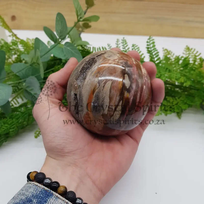Petrified Wood Sphere