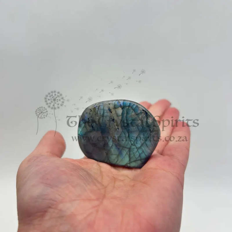 Polished Labradorite Freeform Palm piece