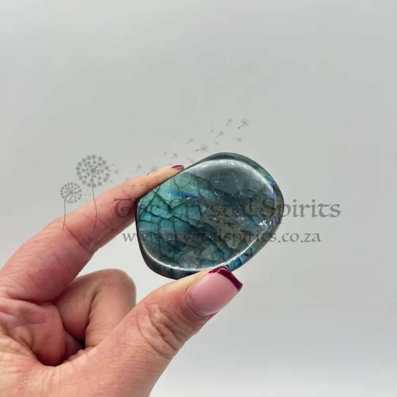 Polished Labradorite Freeform Palm piece