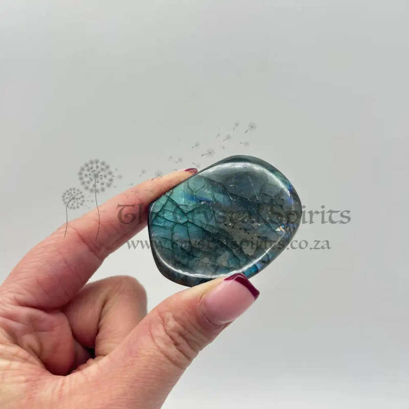 Polished Labradorite Freeform Palm piece