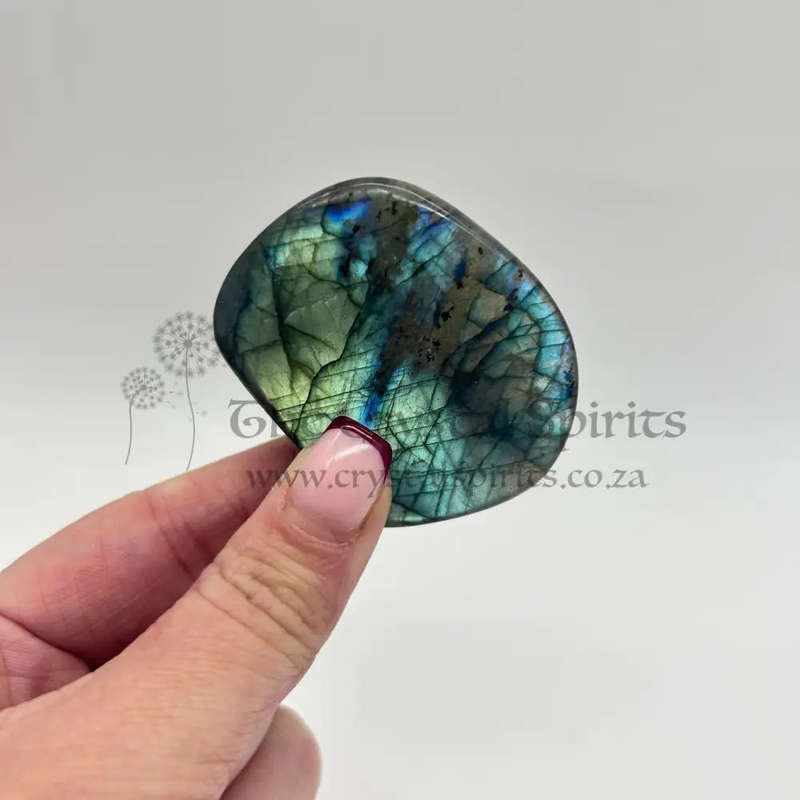 Polished Labradorite Freeform Palm piece