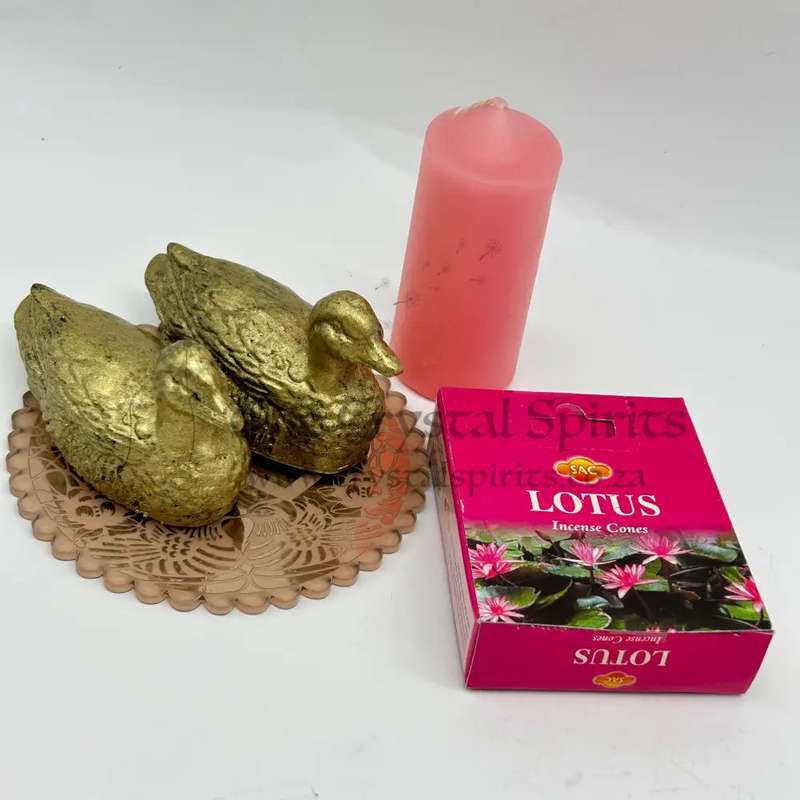 Protect Your Relationship Kit