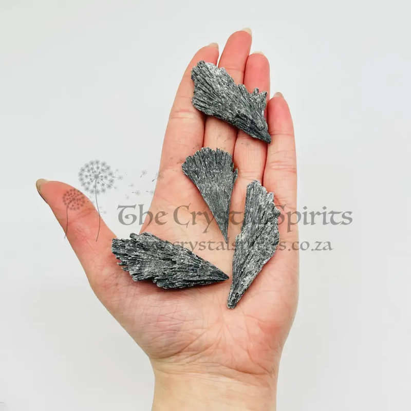 Rough Black Kyanite