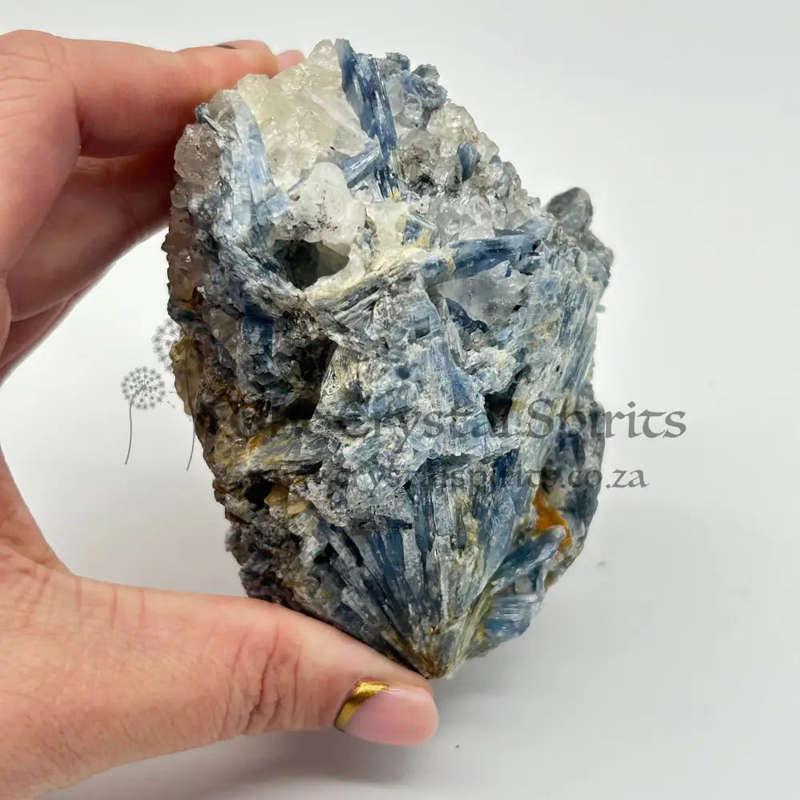 Rough Blue Kyanite - Zimbabwe