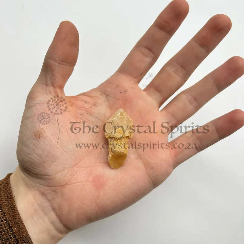 Sceptre Quartz