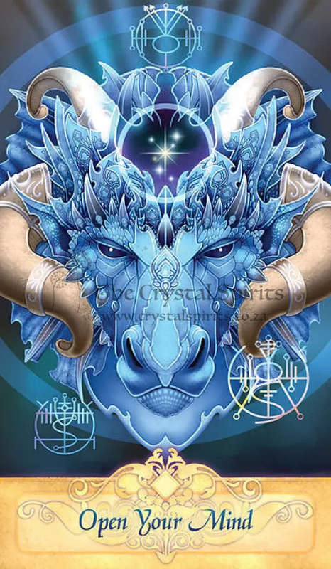 Seeker Oracle Cards by Ravynne Phelan