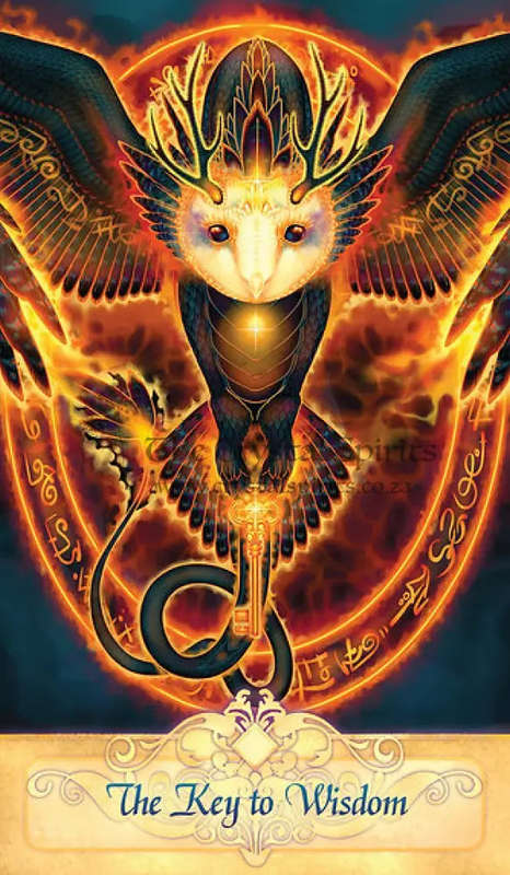 Seeker Oracle Cards by Ravynne Phelan