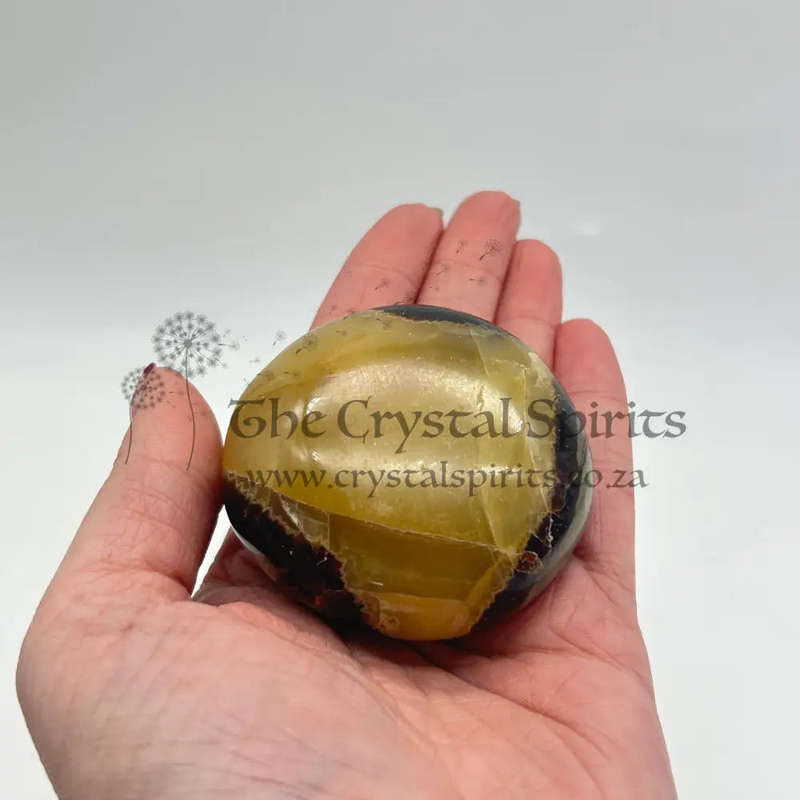 Septarian Dragon Stone Crystal Palm Piece