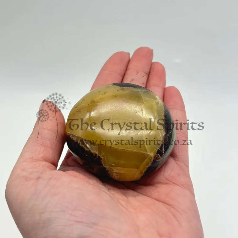 Septarian Dragon Stone Crystal Palm Piece