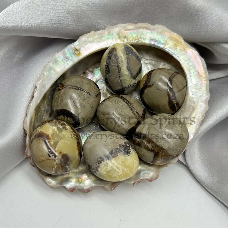 Septarian (Galei) Palm Stone