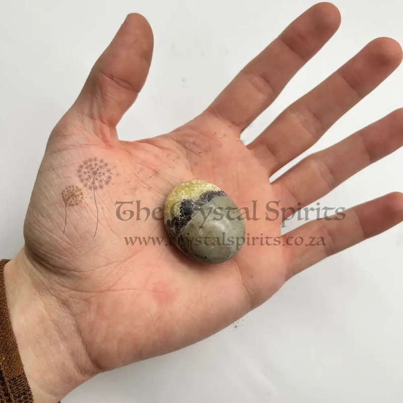 Septarian (Galei) Palm Stone