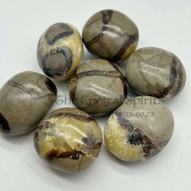 Septarian (Galei) Palm Stone