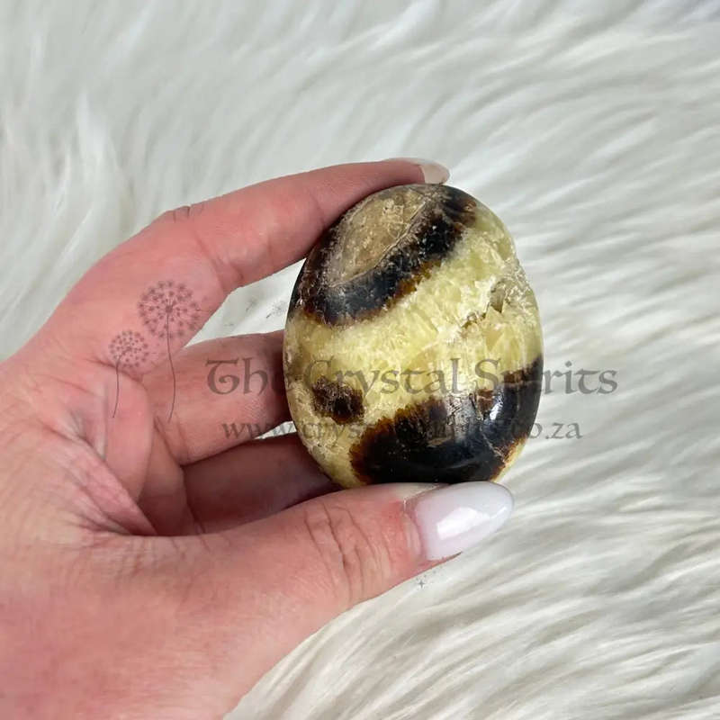 Septarian Palm Piece